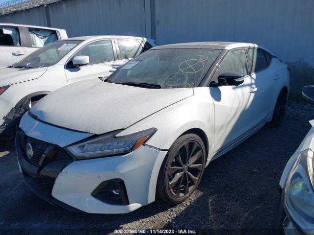 1N4AA6EV4MC516817 Nissan Maxima Sr