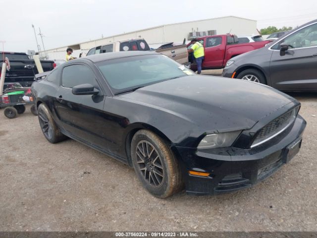 1ZVBP8AMXE5274043 auction archive image