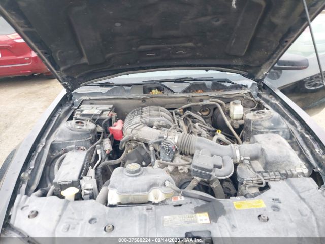 1ZVBP8AMXE5274043 Ford Mustang V6