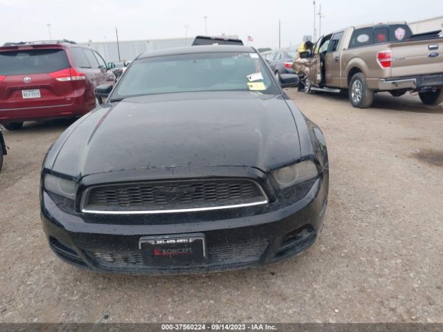 1ZVBP8AMXE5274043 Ford Mustang V6