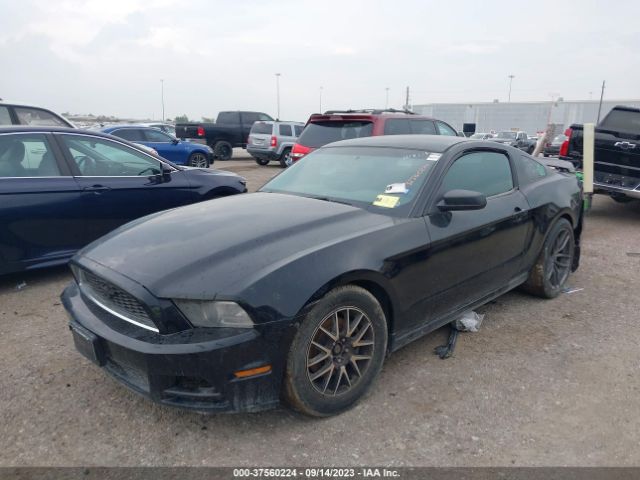 1ZVBP8AMXE5274043 Ford Mustang V6