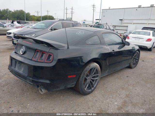 1ZVBP8AMXE5274043 Ford Mustang V6