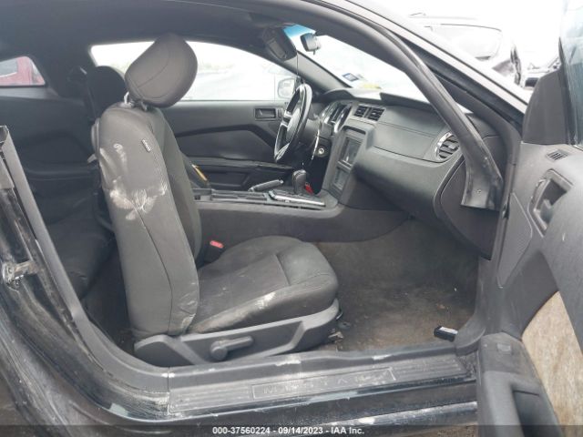 1ZVBP8AMXE5274043 Ford Mustang V6