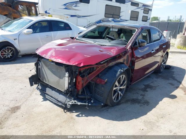 1N4AA6AP8HC364912 Nissan MAXIMA SL