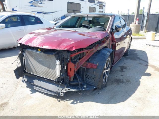1N4AA6AP8HC364912 Nissan MAXIMA SL