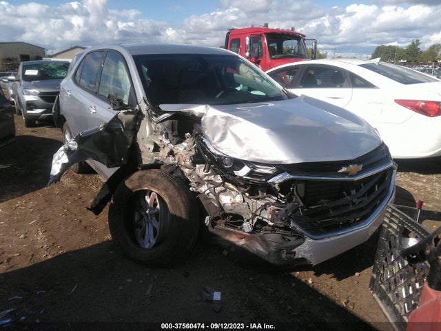 Chevrolet EQUINOX LS 2019 3GNAXHEV0KS620742 Image 1