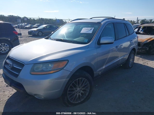 2009 HYUNDAI SANTA FE 5NMSH73E39H288059 Photo 1