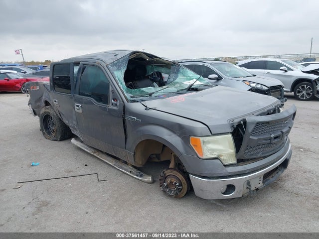 2010 FORD F-150 XL/XLT VIN: 1FTFW1CV4AFB54991