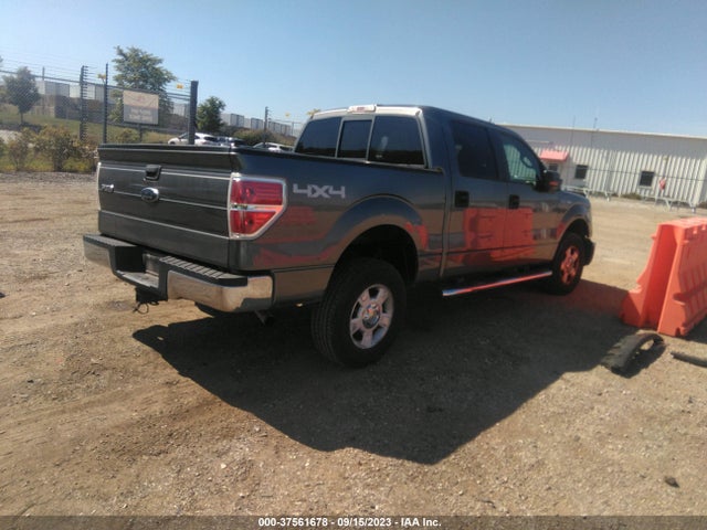 2010 FORD F-150 XL/XLT VIN: 1FTEW1E81AFD16630