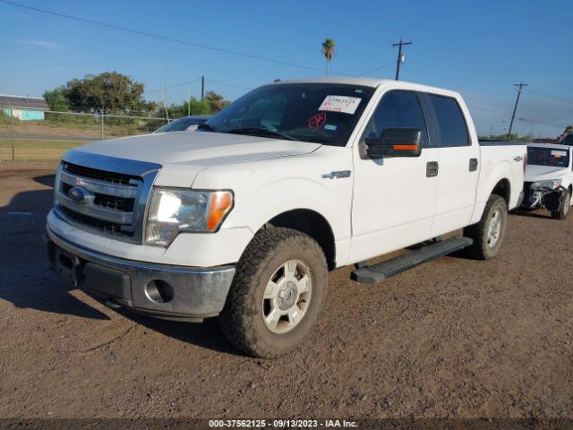 1FTFW1EF7EKE61767 Ford F-150 Xl/xlt/stx/fx4/lariat