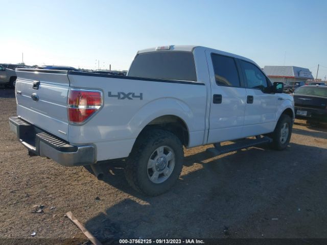 1FTFW1EF7EKE61767 Ford F-150 Xl/xlt/stx/fx4/lariat