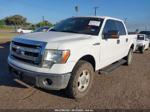 1FTFW1EF7EKE61767 Ford F-150 Xl/xlt/stx/fx4/lariat