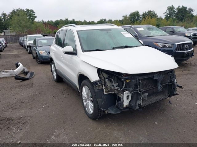 2013 VOLKSWAGEN TIGUAN WVGBV3AX9DW066634