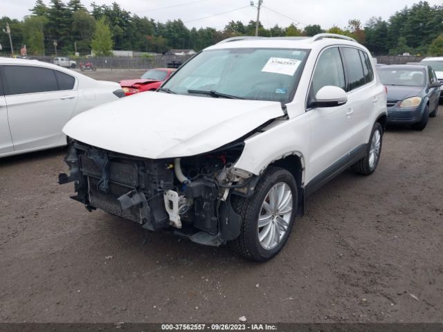 2013 VOLKSWAGEN TIGUAN WVGBV3AX9DW066634 Photo 1