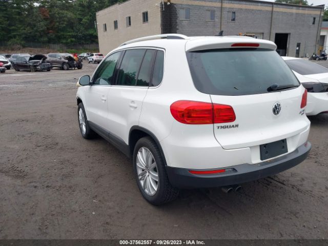 2013 VOLKSWAGEN TIGUAN WVGBV3AX9DW066634 Photo 2