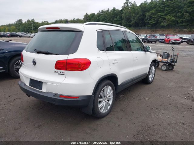 2013 VOLKSWAGEN TIGUAN WVGBV3AX9DW066634 Photo 3