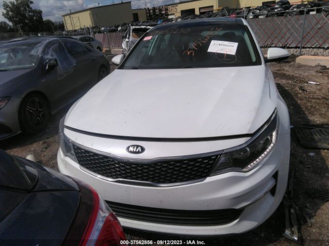 5XXGU4L3XGG048002 KIA OPTIMA EX