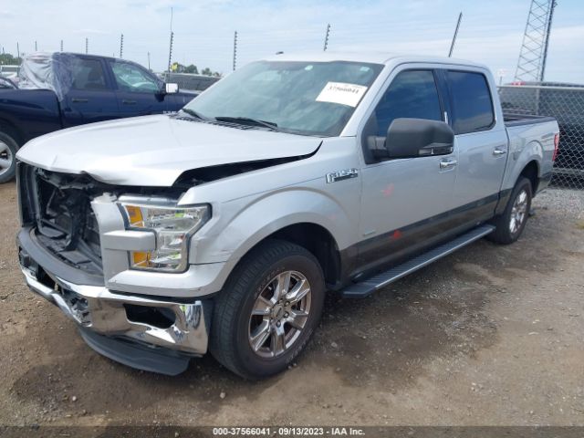1FTEW1CP9FKF02554 Ford F-150 Xl/lariat/xlt
