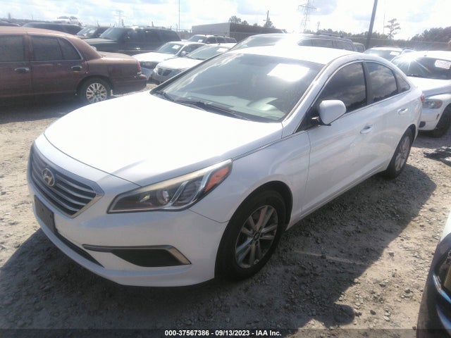 Hyundai Sonata 2.4l Se 2016 5NPE24AF4GH385764 Image 2