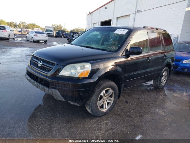 2005 HONDA PILOT EX-L VIN: 5FNYF18595B003446