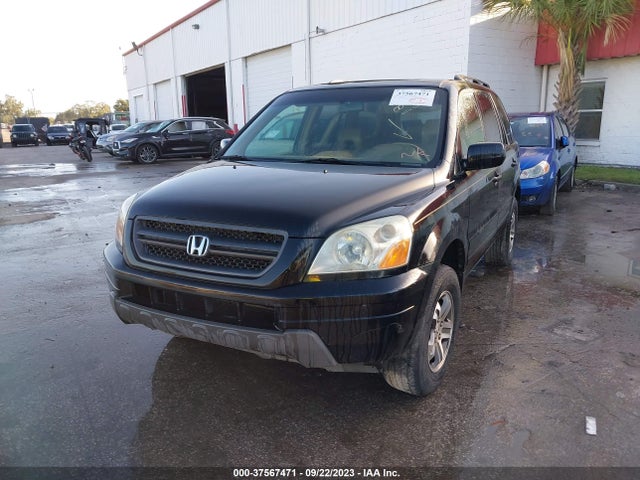 2005 HONDA PILOT EX-L VIN: 5FNYF18595B003446
