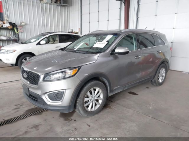 5XYPGDA52HG212125 KIA Sorento Lx V6