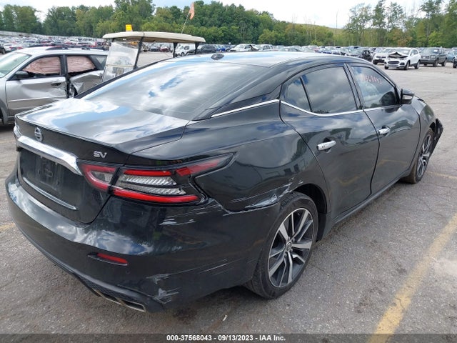 Nissan Maxima Sv Xtronic Cvt 2020 1N4AA6CV6LC364069 Image 4