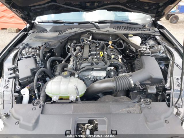 1FATP8UH4P5101519 Ford Mustang Ecoboost