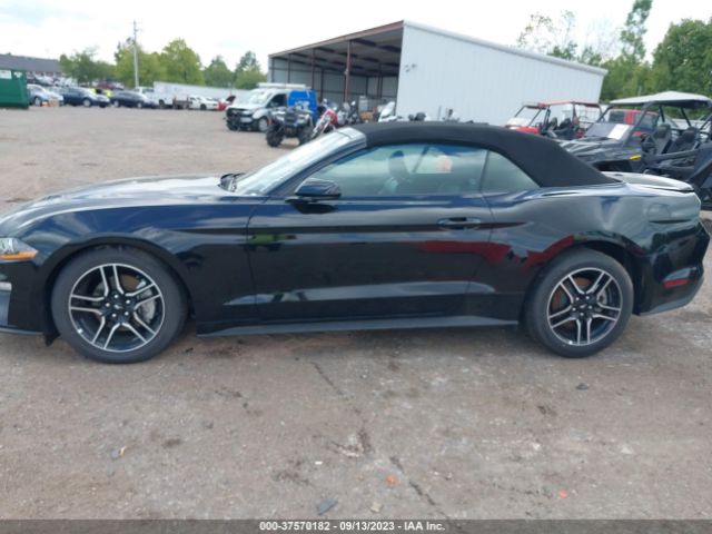 1FATP8UH4P5101519 Ford Mustang Ecoboost