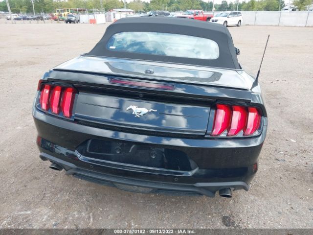 1FATP8UH4P5101519 Ford Mustang Ecoboost