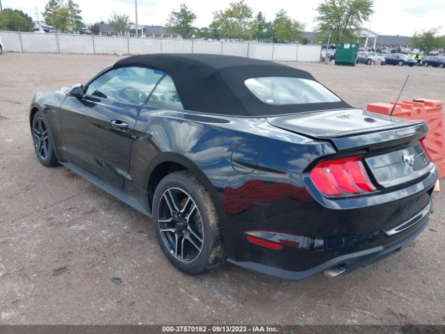 1FATP8UH4P5101519 Ford Mustang Ecoboost