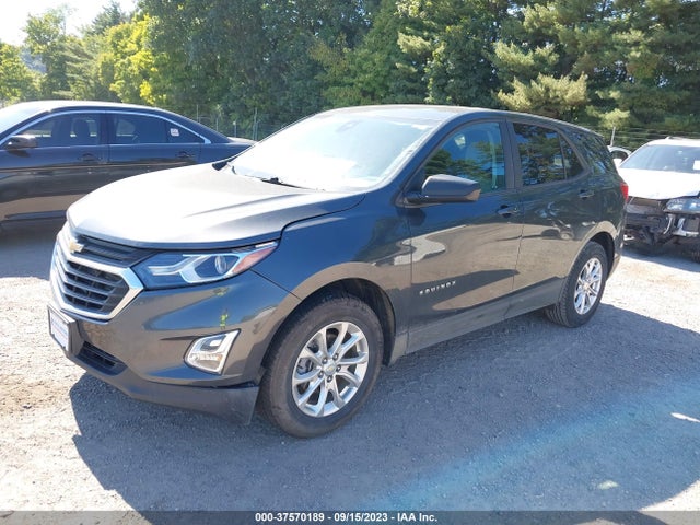 Chevrolet EQUINOX LS 2020 2GNAXHEV1L6118435 Image 2