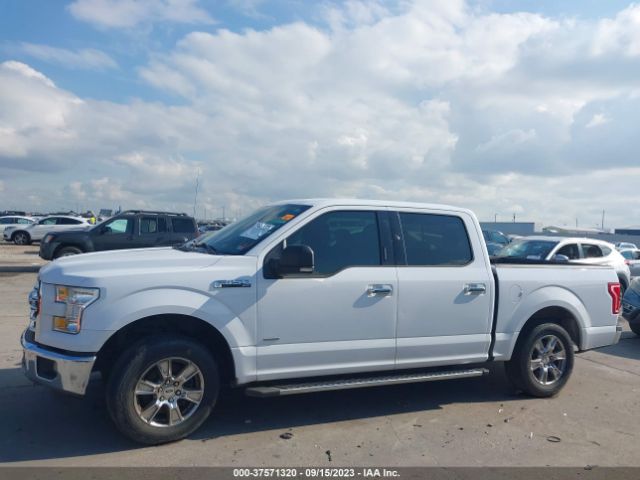 1FTEW1CP6FKE58562 Ford F-150 Xl/lariat/xlt