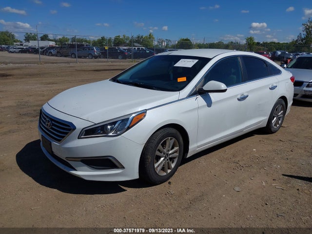 Hyundai Sonata 2.4l Se 2016 5NPE24AF4GH358094 Image 2
