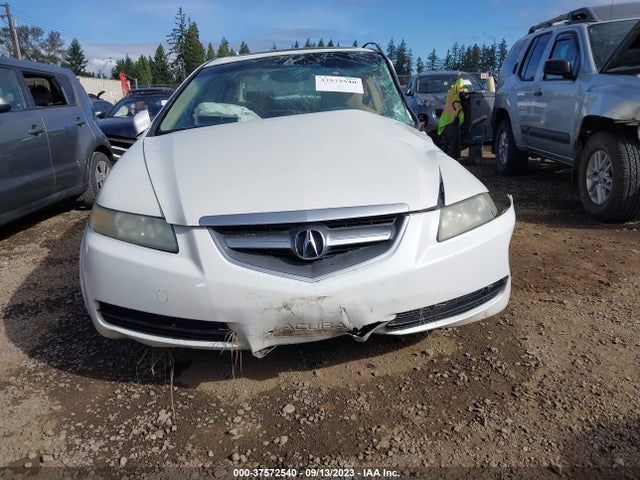 2004 ACURA TL VIN: 19UUA66244A032882