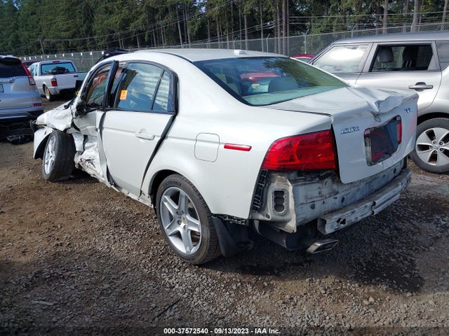 2004 ACURA TL VIN: 19UUA66244A032882