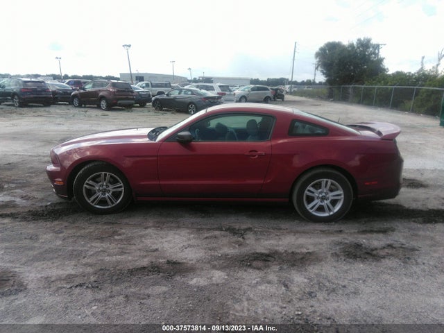 2014 FORD MUSTANG V6 VIN: 1ZVBP8AM8E5208669