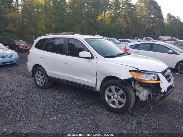 2009 HYUNDAI SANTA FE SE VIN: 5NMSH13E79H232154