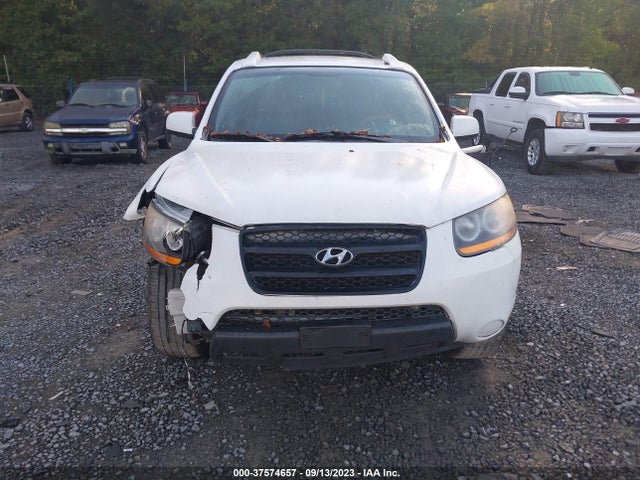 2009 HYUNDAI SANTA FE SE VIN: 5NMSH13E79H232154