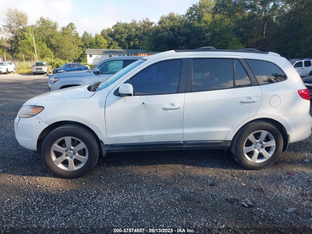 2009 HYUNDAI SANTA FE SE VIN: 5NMSH13E79H232154