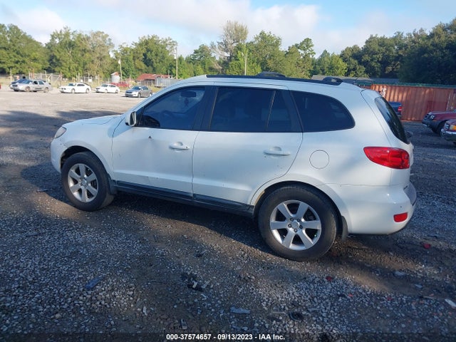 2009 HYUNDAI SANTA FE SE VIN: 5NMSH13E79H232154