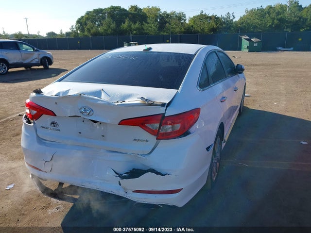 2016 HYUNDAI SONATA 2.4L SPORT VIN: 5NPE34AF6GH307368