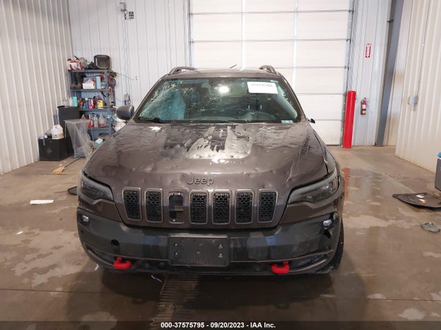 2019 JEEP CHEROKEE TRAILHAWK ELITE 4X4 VIN: 1C4PJMBX3KD280523