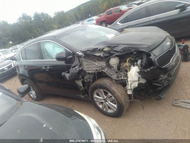 KNDPM3AC7H7149845 KIA Sportage Lx