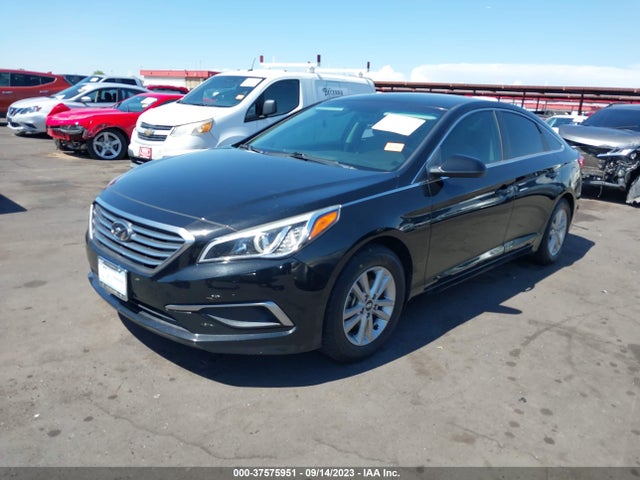 Hyundai Sonata 2.4l Se 2016 5NPE24AF6GH366732 Image 2