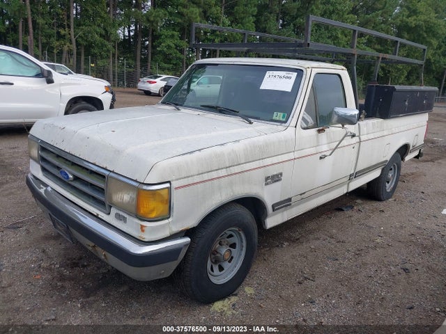 1991 FORD F150 VIN: 1FTDF15Y5MNA25215