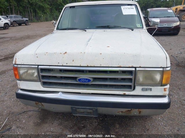 1991 FORD F150 VIN: 1FTDF15Y5MNA25215
