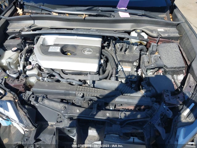 2019 Lexus UX, VIN: JTHU9JBH5K2011954