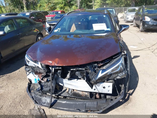 2019 Lexus UX, VIN: JTHU9JBH5K2011954