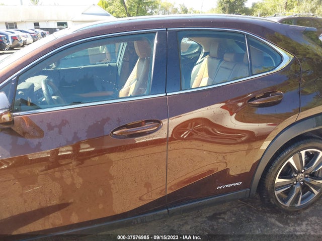 2019 Lexus UX, VIN: JTHU9JBH5K2011954